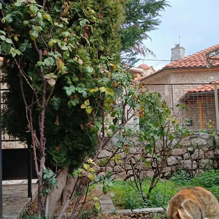 Maisonette